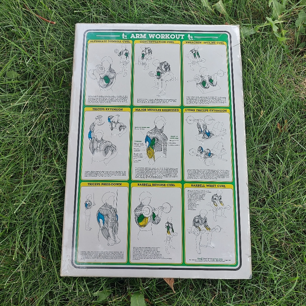 1984 Vintage Bruce Algra Arm Workout Fitness Chart Series 16" x 11".